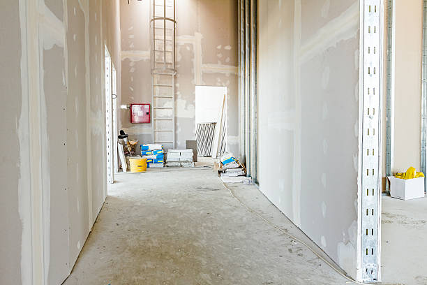 Trusted Bayport, NY Mold Removal Experts